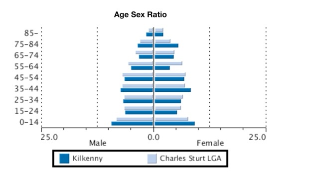 Age Gender Ratio