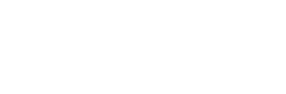 KingsCoin White-3